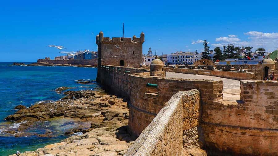 Essaouira: 2-Hour Camel Ride - Is $47 a fair price for two hours?