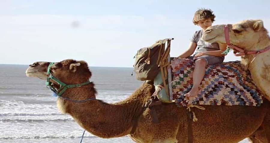 Essaouira: 2-Hour Camel Ride - From Essaouira’s beach to the Atlantic horizon