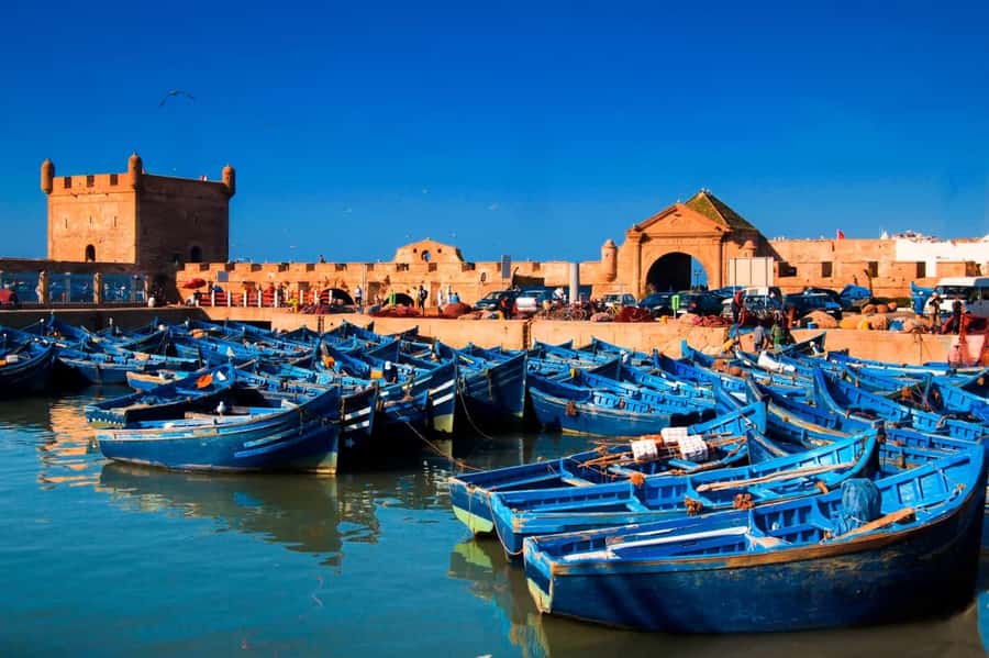 Essaouira Atlantic coast Day trip from marrakech - A self-guided walk through the medina