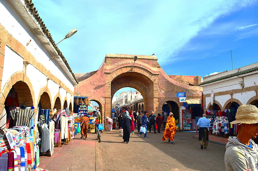 Essaouira Atlantic coast Day trip from marrakech - Who should book this Essaouira day trip?