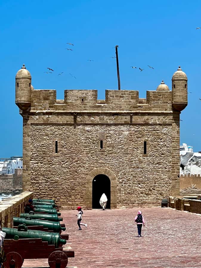 Essaouira City day Trip from Marrakech - Who should book this Essaouira trip?