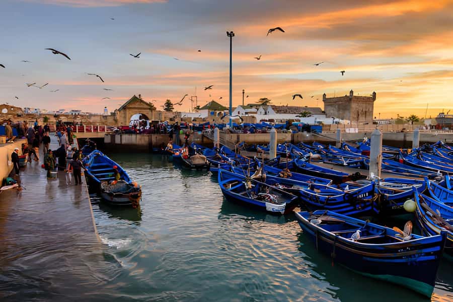 Essaouira Day Trip from Agadir - The return drive and sunset stop