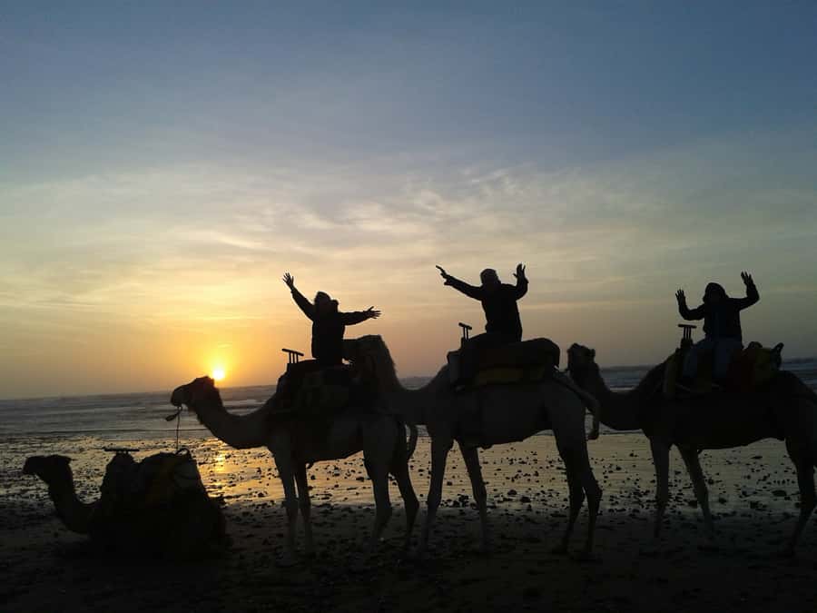 Essaouira: One Hour Dromedary Ride - What the dromedary ride feels like
