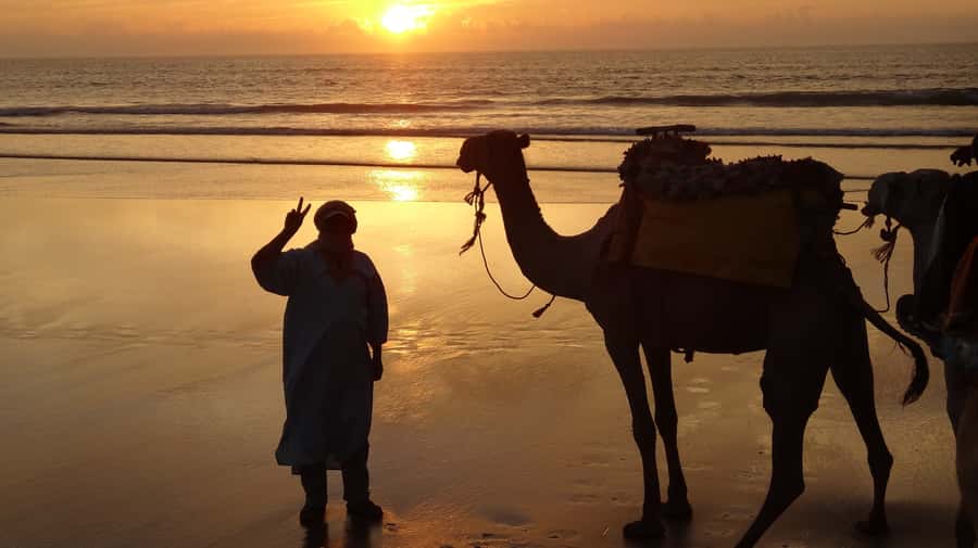 Essaouira: One Hour Dromedary Ride - From the dunes to the beach