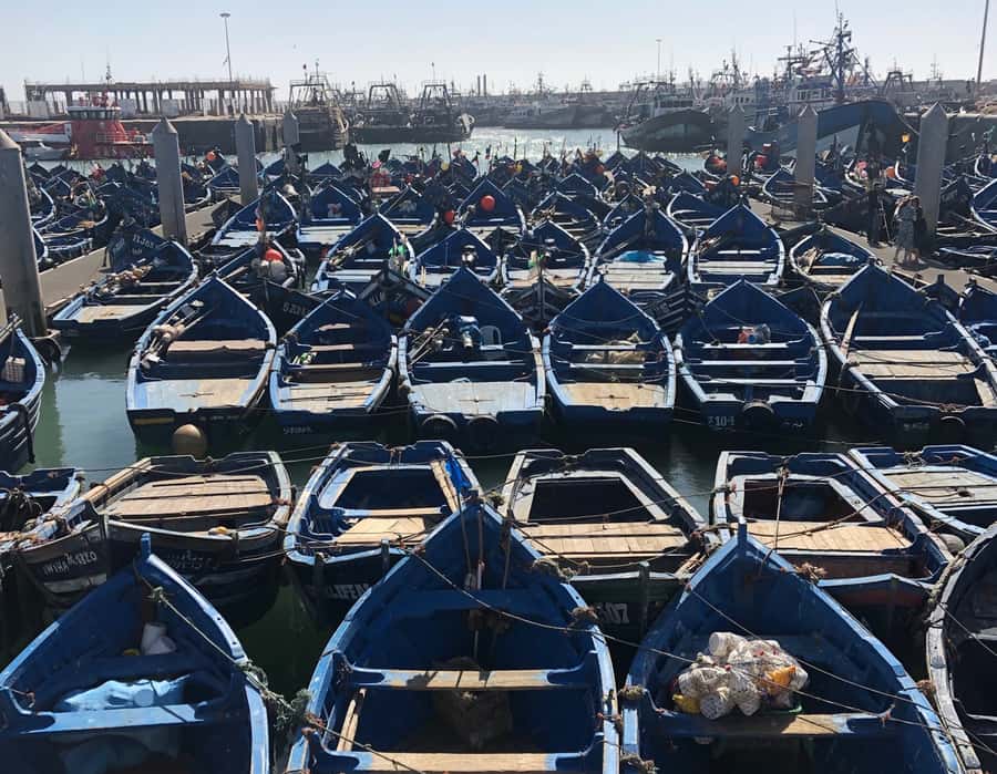 Essaouira: Private City Tour - The Scala of the medina and its film connections