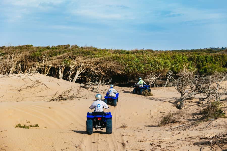 Essaouira Sand Dunes: Half Day Quad Bike Tour - Should you book it?