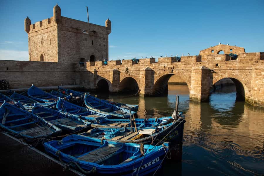 Essaouira: Sqala du Port, Medina Ramparts & Fish Market Tour - The port and fish market