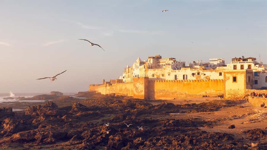 Essaouira: Sqala du Port, Medina Ramparts & Fish Market Tour - What the guides add to the experience