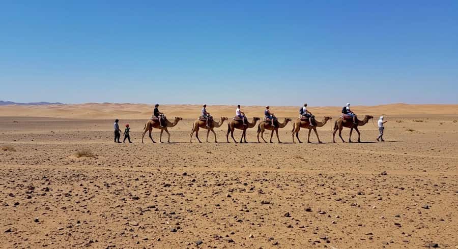 Evening Marrakech: Agafay Desert Quad , Camel & Dinner Shows - Dinner under the desert sky