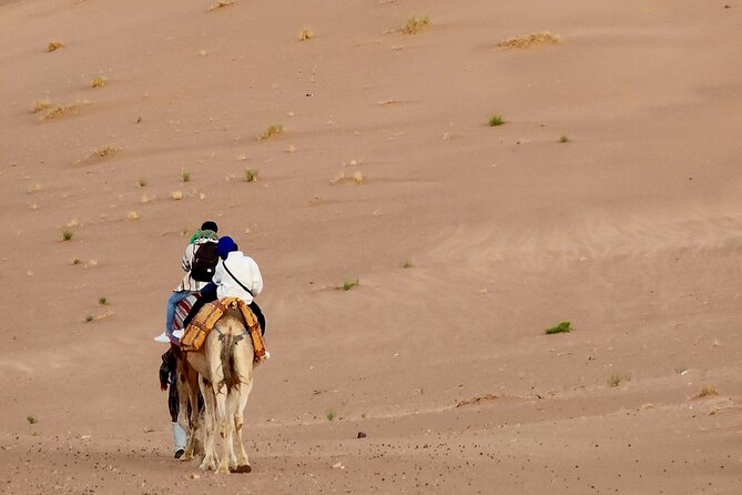 Experience Luxury in Zagora: 2-Day Desert Adventure - Ait Ben Haddou, a one-hour walk through a fortified village