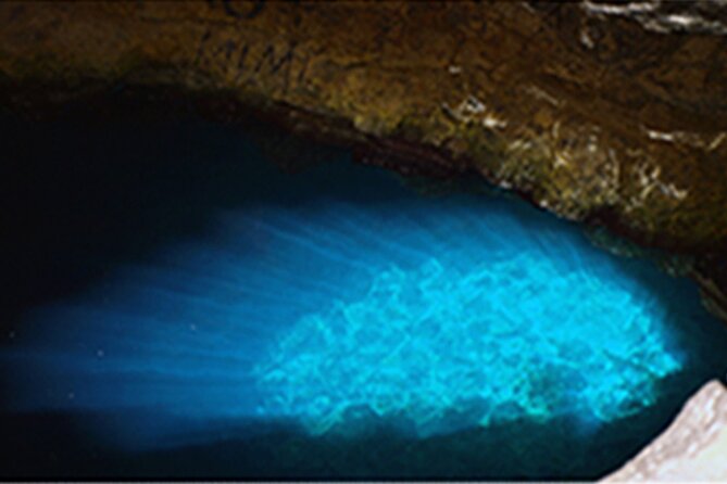 Experience on Sal Island with native and certified guide (including sharks) - Palmeira, where Sal feels most local