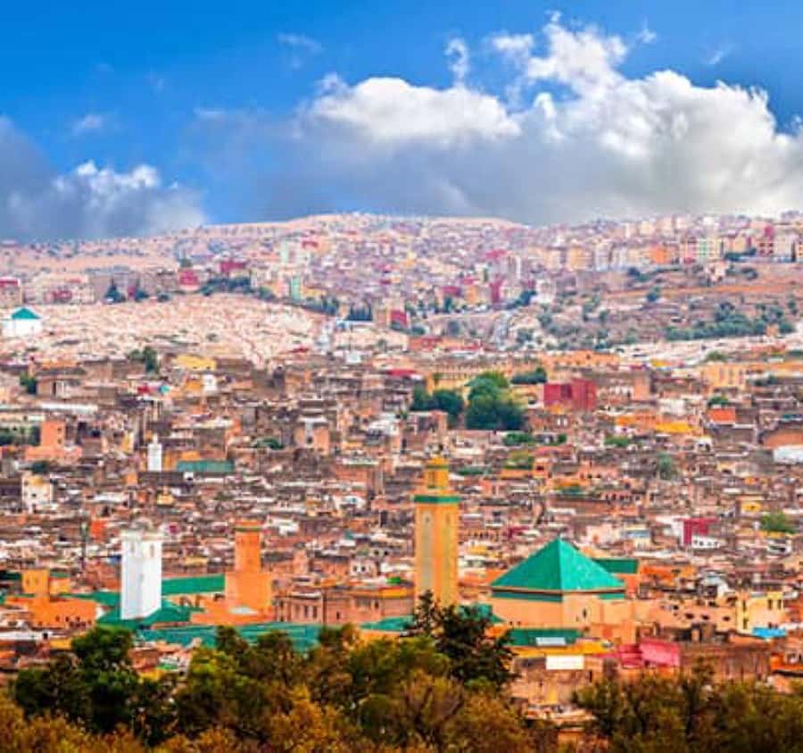 Explore Fes: Unforgettable Guided Walking Tour of the Medina - The tanneries are a memorable stop