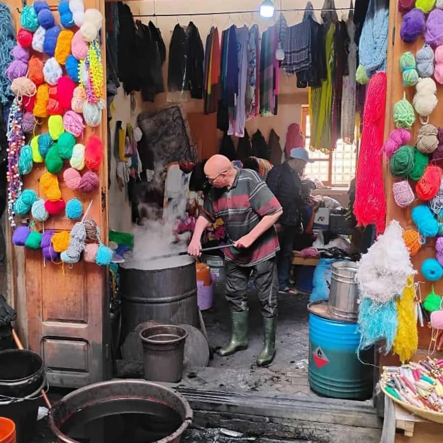 Explore Fes: Unforgettable Guided Walking Tour of the Medina - Starting near Bab Al Madina Hotel