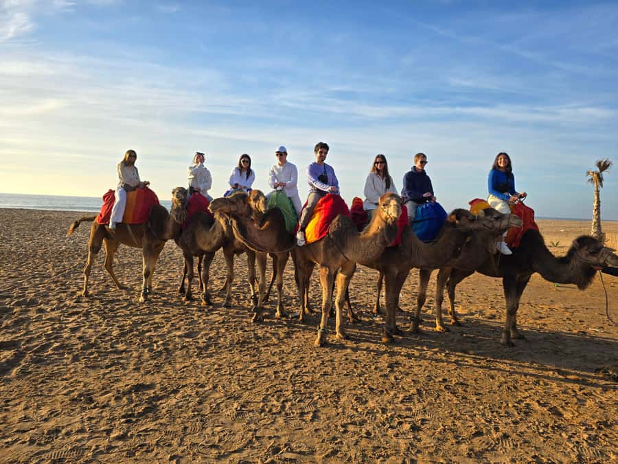 Explore Tangier: Cap Spartel, Cave, & Camel Ride Adventure - How much history and guiding will you get?