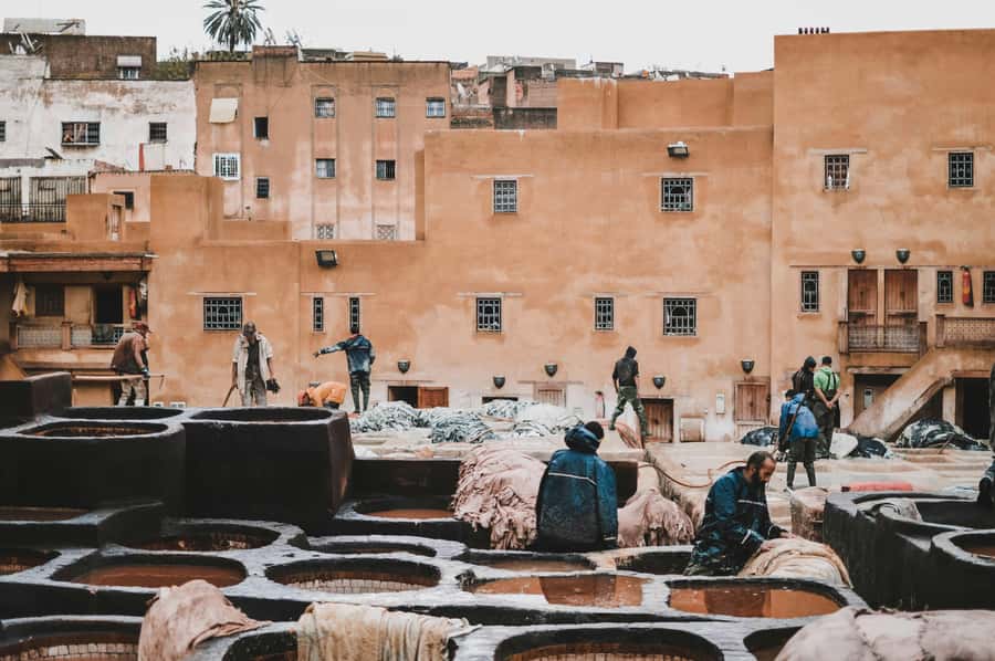 Fes: Royal Palace, Madrasa, Tannery & Souks and Medina Tour - Pace, footwear, and daily comfort