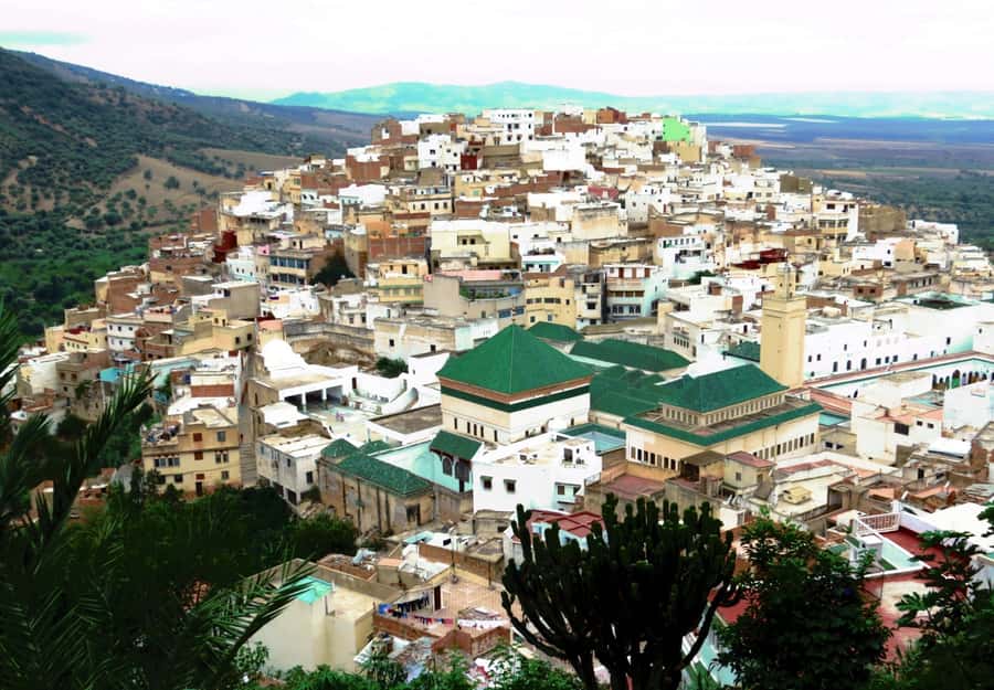 Fes: Volubilis Roman Ruins, Mouly Idriss, & Meknes Day Trip - Key points to know before booking