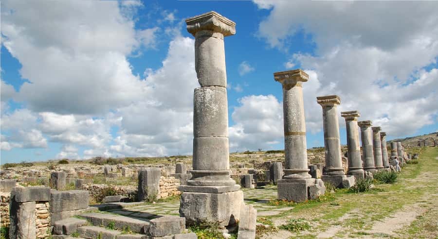 Fes: Volubilis Roman Ruins, Mouly Idriss, & Meknes Day Trip - Volubilis is the reason to make the trip