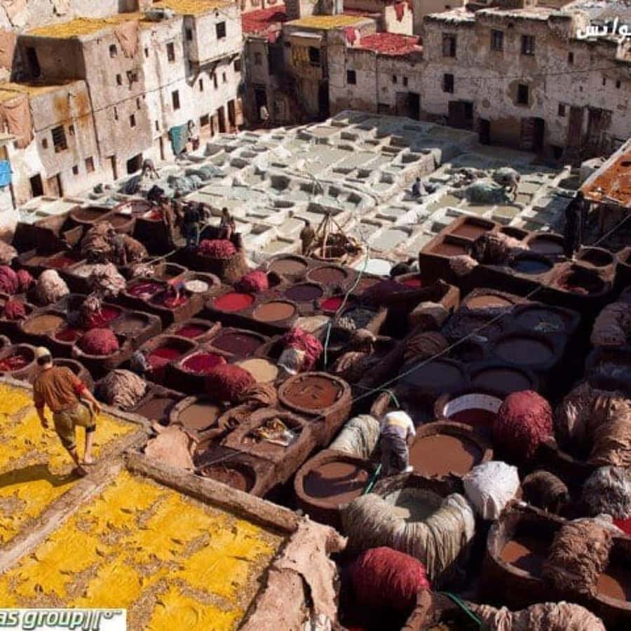 Fez: Guided Walking Tour of the Historic Medina - Leather at the traditional tanneries