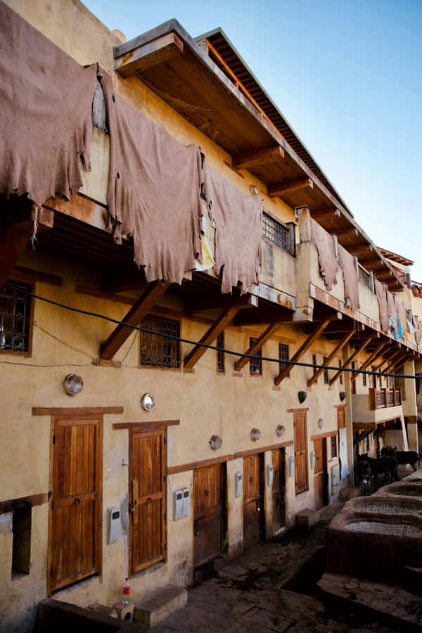 Fez: Guided Walking Tour of the Historic Medina - Who will enjoy this Fez walk most?
