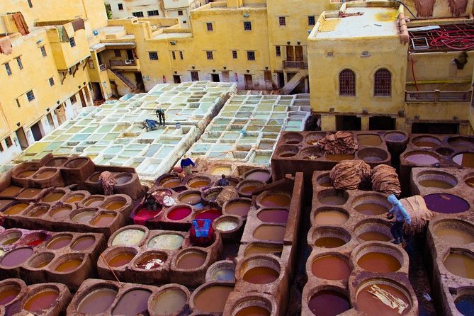 Fez Medina 4-Hour Guided Walking Tour - Chouara Tannery: the most memorable, and strongest-smelling, stop
