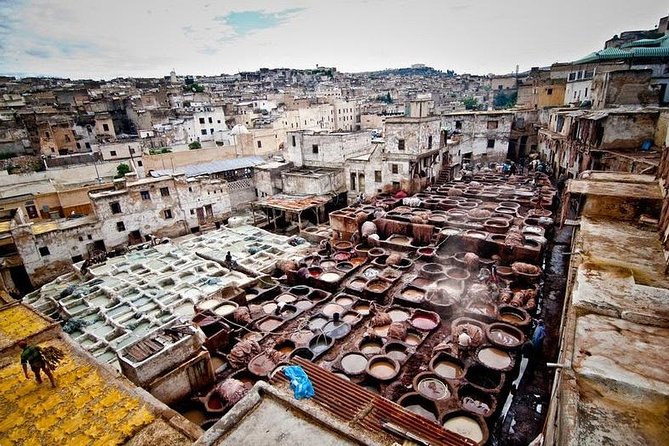 Fez Medina 4-Hour Guided Walking Tour - One hour in the medina’s working streets
