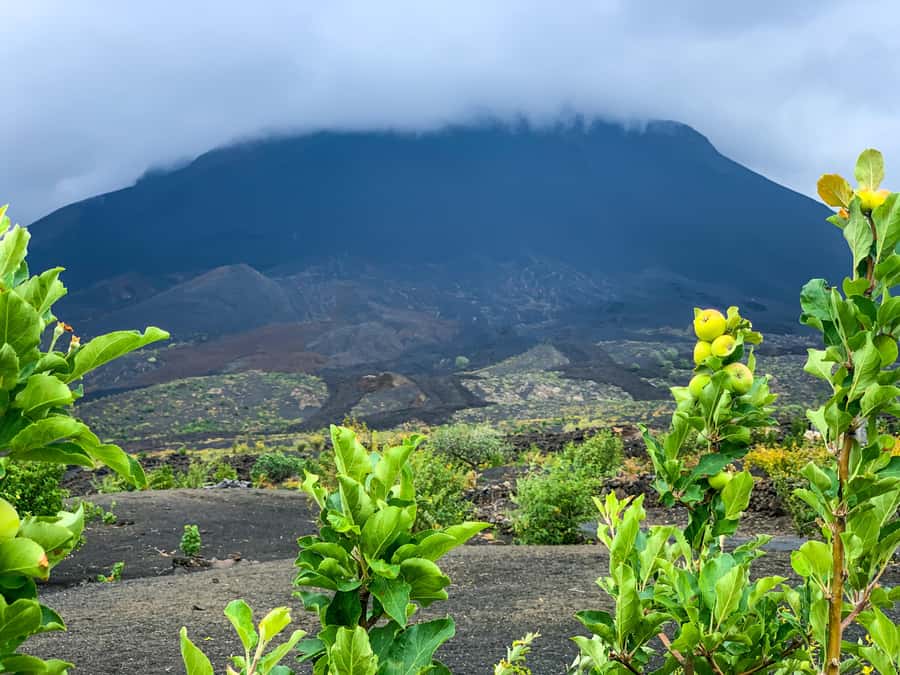 Fogo Island: Pico do Fogo Volcano Summit Hike - Why Pico do Fogo is more than a summit walk