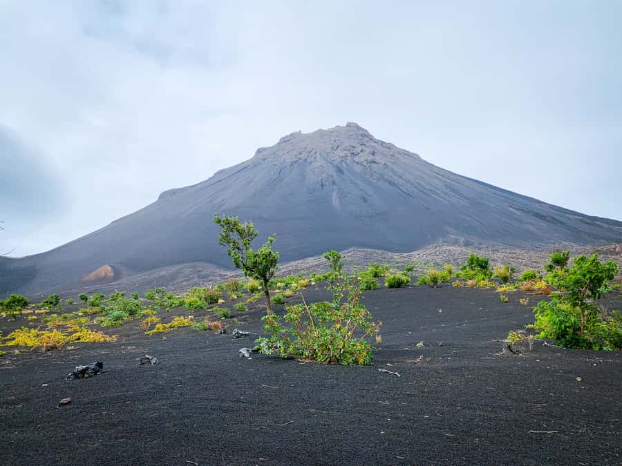 Fogo Island: Pico do Fogo Volcano Summit Hike - The morning pickup and drive toward the volcano