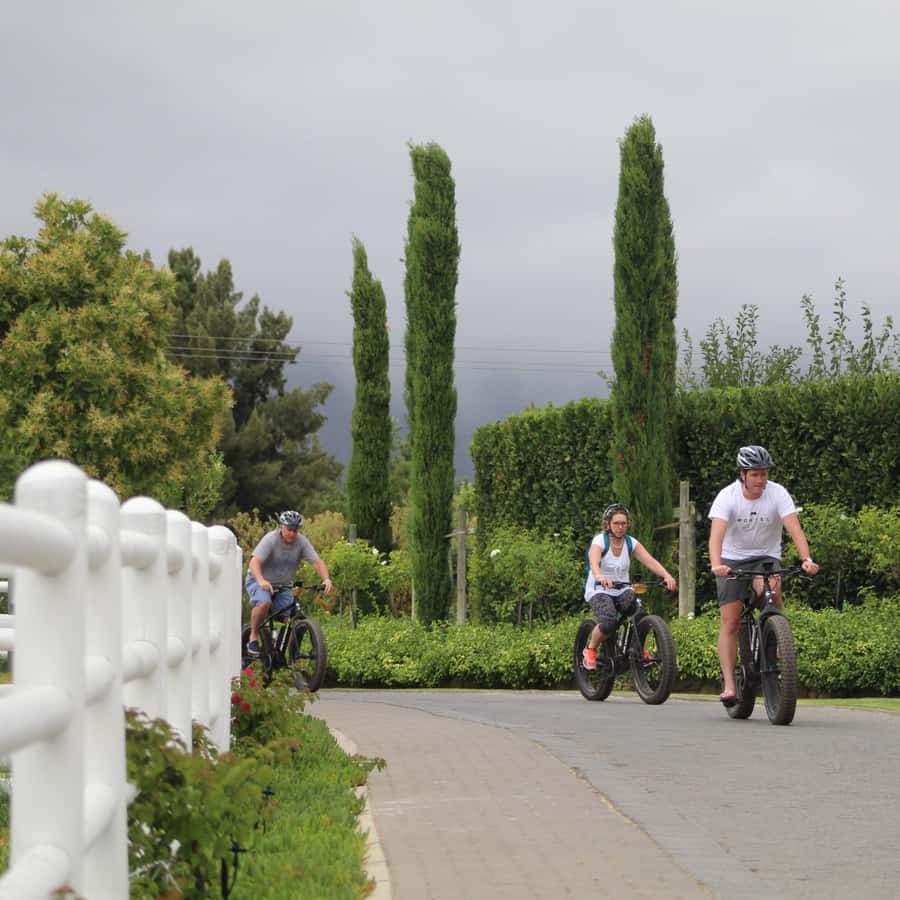 Franschhoek: E-Bike Guided Winery Tour - Why an e-bike fits Franschhoek so well