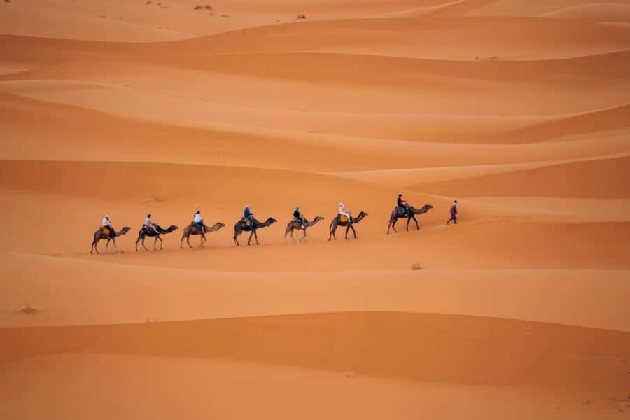From Agadir: 3-Day Desert Tour to Marrakech - Standard or luxury camp?