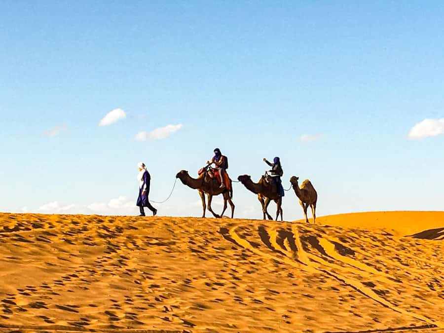 From Agadir: 4×4 Jeep Sahara Desert Tour with Lunch - Key points at a glance