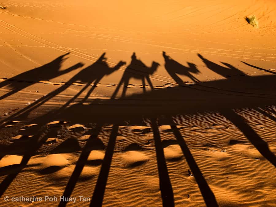 From Agadir: 4×4 Jeep Sahara Desert Tour with Lunch - A mini Sahara day from Agadir