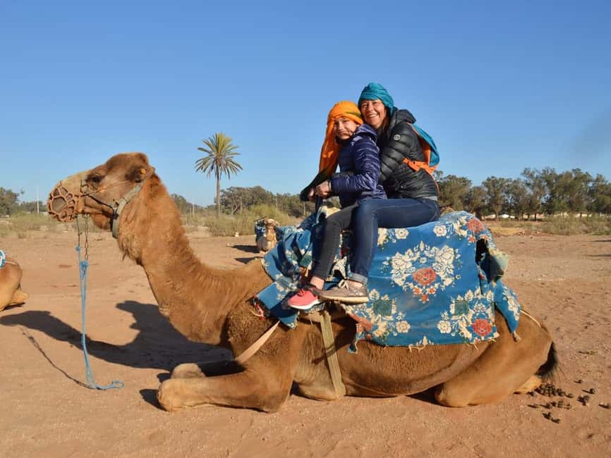 From Agadir: Camel Ride and Flamingo Trek - At a glance