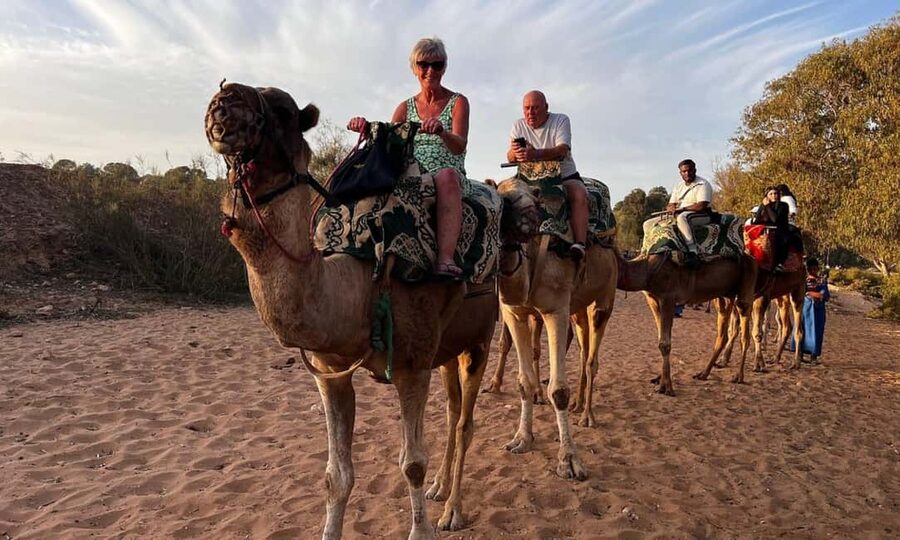 From Agadir: Camel Ride and Flamingo Trek - What this Agadir camel ride is really like