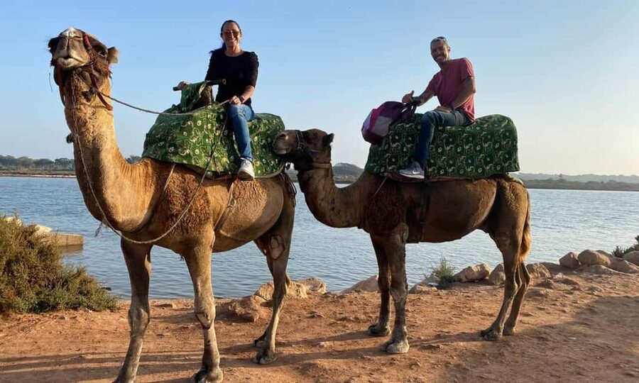 From Agadir: Camel Ride and Flamingo Trek - Riding through the forest toward the Souss river