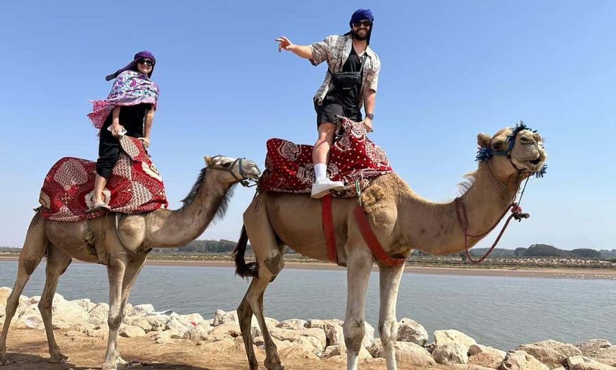 From Agadir: Camel Ride and Flamingo Trek - Looking for flamingos by the water