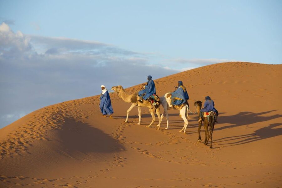 From Agadir: Camel Ride and Flamingo Trek - What the camel ride feels like for adults and children