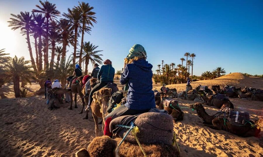 From Agadir: Camel Ride and Flamingo Trek - Photos, mint tea, and the end of the outing