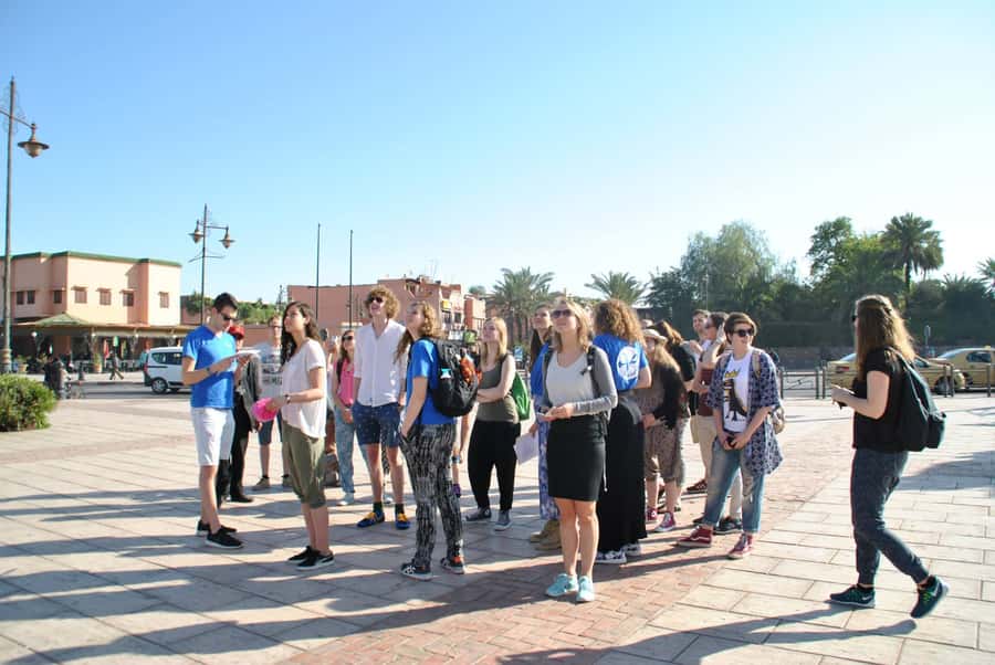 From Agadir: Guided Day Trip to Marrakech - Lunch, rooftop views, and keeping the schedule moving