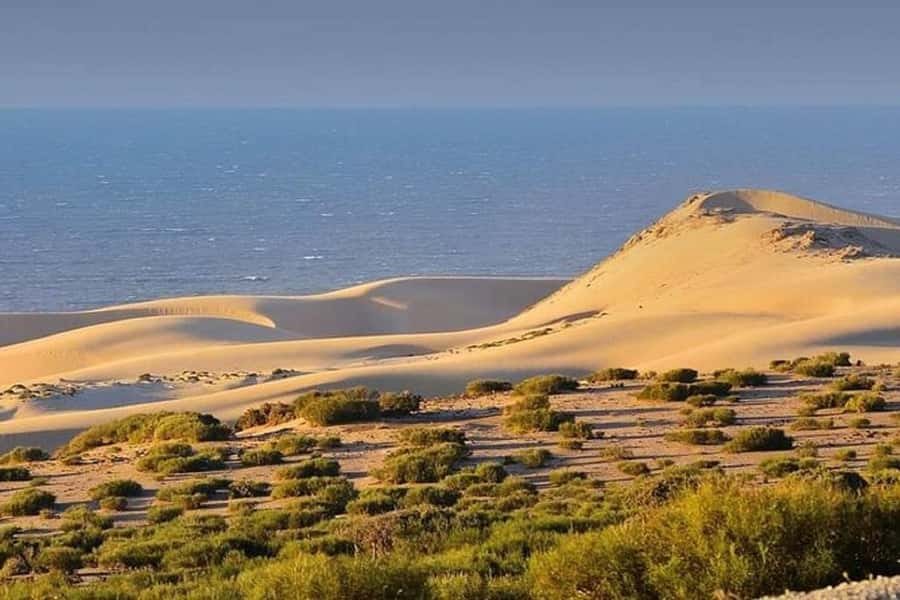 From Agadir: Jeep Desert Safari with Lunch and Camel Ride - Key points at a glance