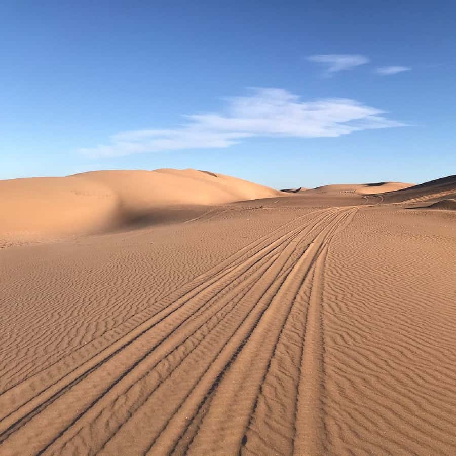 From Agadir: Jeep Desert Safari with Lunch and Camel Ride - Why this 4x4 day works so well