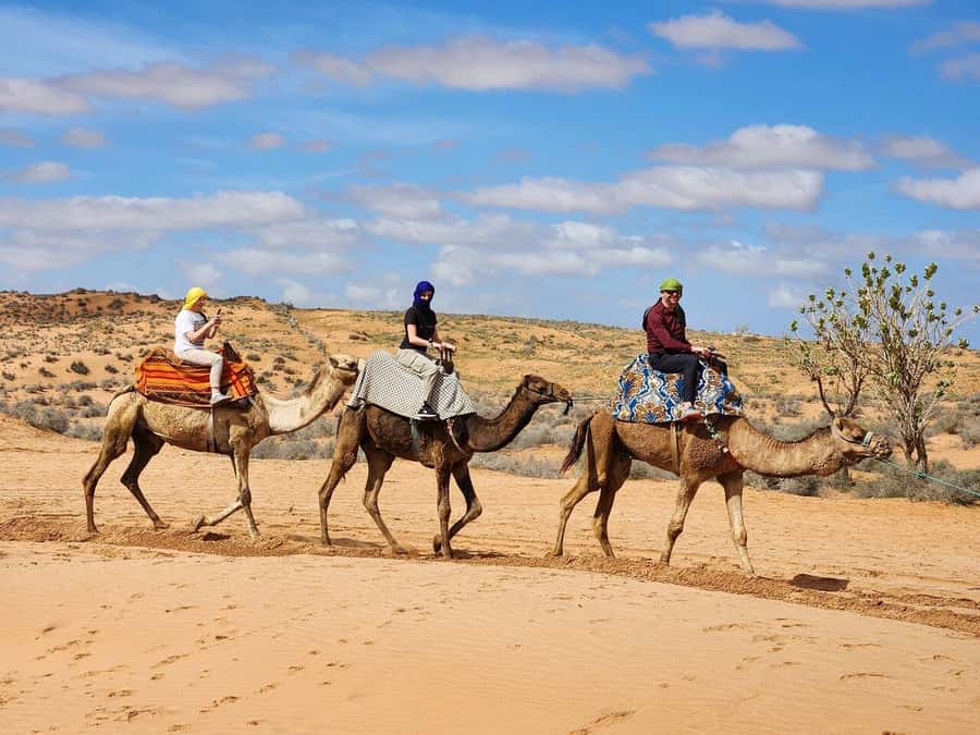 From Agadir: Jeep Desert Safari with Lunch and Camel Ride - Tiznit, silver, and the old city walls