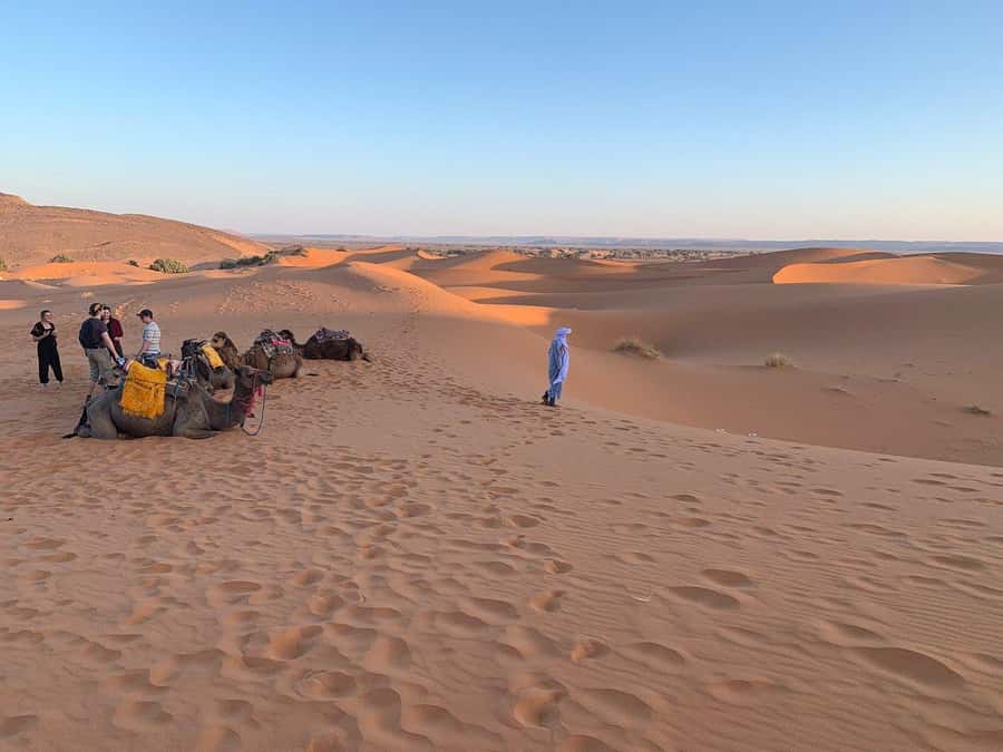 From Agadir: Jeep Desert Safari with Lunch and Camel Ride - The 4x4, group size, and comfort