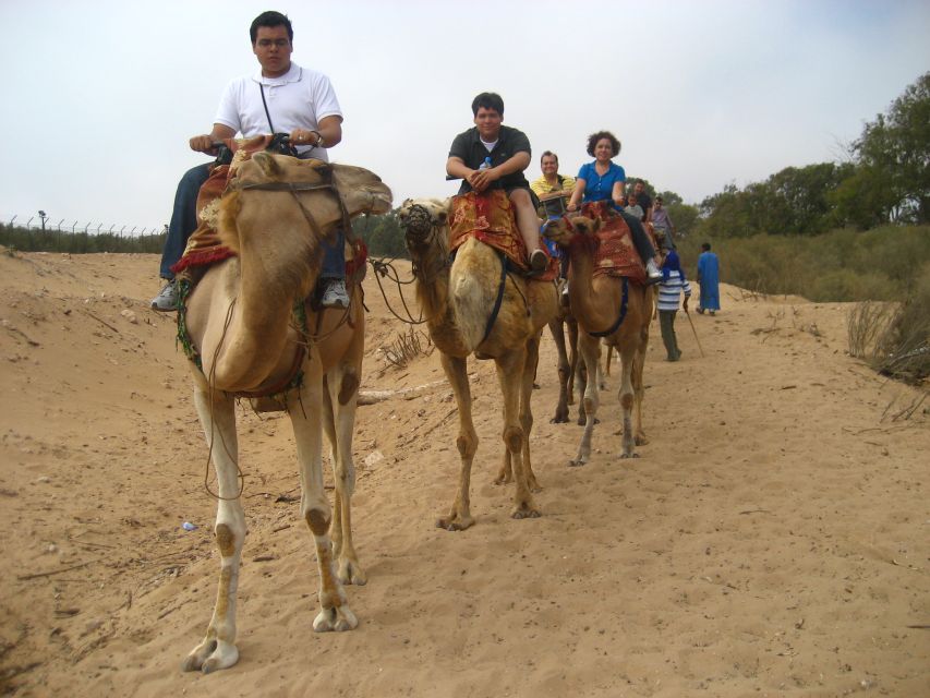 From Agadir or Taghazout: Camel Ride Berber Tour Experience - Practical tips for a better outing