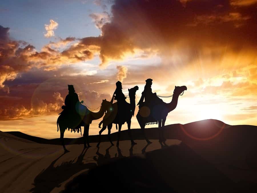 From Agadir or Taghazout: Camel Ride Berber Tour Experience - A quiet camel route beside the Souss River