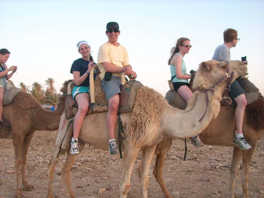 From Agadir or Taghazout: Camel Ride Berber Tour Experience - Sunset timing and the heat