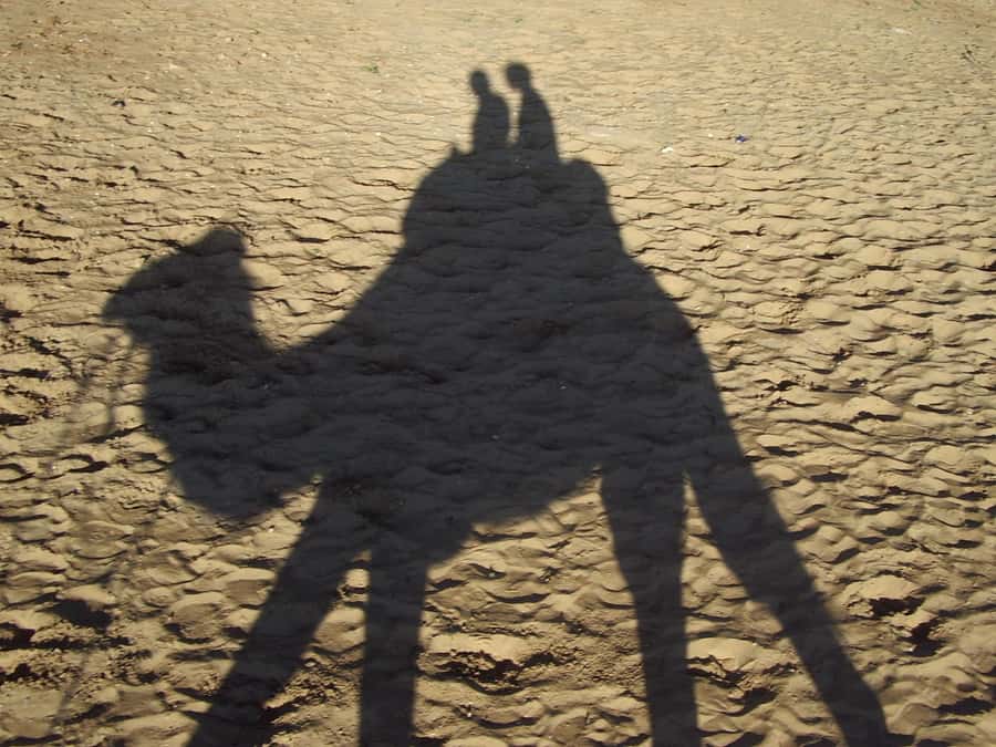 From Agadir or Taghazout: Camel Ride Berber Tour Experience - Mint tea, biscuits, and the optional barbecue