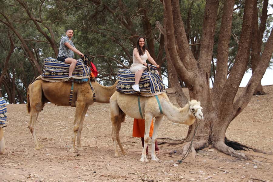 From Agadir or Taghazout: Camel Ride Berber Tour Experience - What happens at the camel ranch