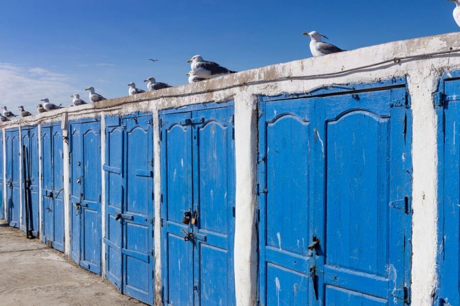 From Agadir or Taghazout: Essaouira Day Trip with Transfer - Free time for food, streets, and the 10-kilometer beach