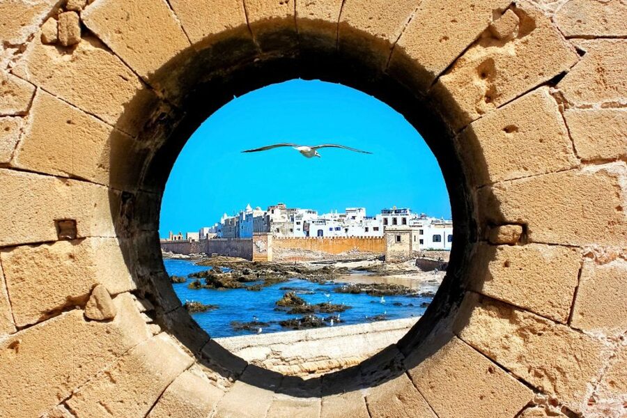 From Agadir or Taghazout: Essaouira Day Trip with Transfer - What the $41 price really covers