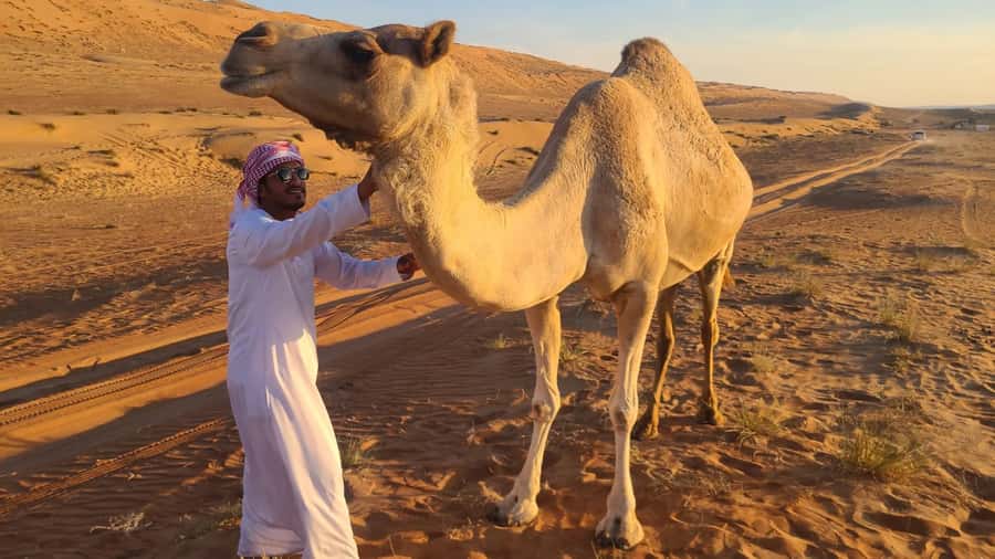 From Agadir: Sahara Desert Day Trip and Camel Ride - A full day south of Agadir